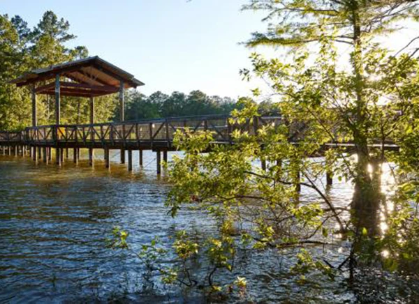 Scenic view of a wooden dock extending over tranquil waters, surrounded by lush greenery, capturing the essence of lake life in the Toledo Bend Lake area.