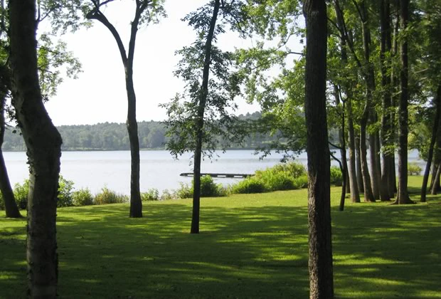 Lush green lawn and trees framing a serene view of Lake Sam Rayburn, showcasing a peaceful waterfront ideal for family gatherings and lake life.